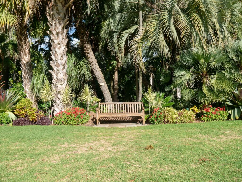 A peaceful view of a tropical garden featuring a wooden bench surrounded by palm trees and vibrant plants.