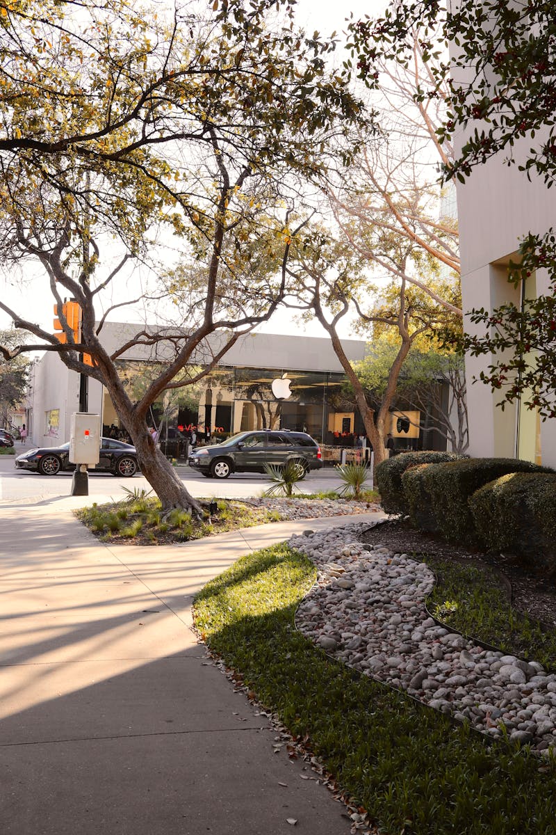Urban street view featuring the Apple Store in Dallas, TX with trees and sidewalks.