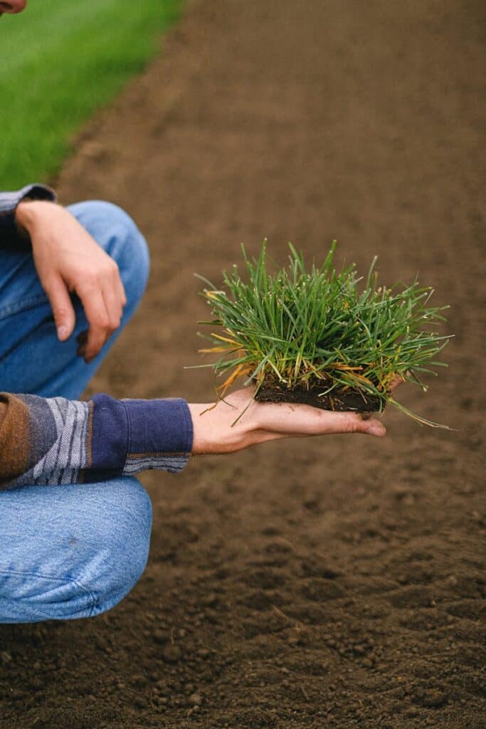 Person holding a patch of grass turf in a field, symbolizing agriculture and cultivation.