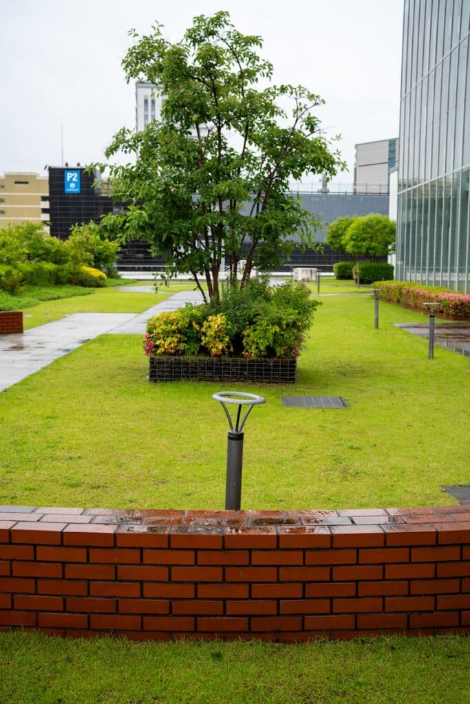 A rooftop garden with grass and shrubbery.